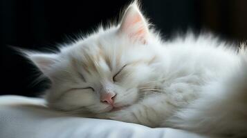 pacificamente dormindo bebê gato, acolhedor fofa gatinho cochilando, ai generativo foto