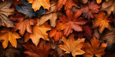 fechar-se colorida outono brilhante outono folha, lindo sereno cenário, cópia de espaço para cumprimento cartão, ai generativo foto