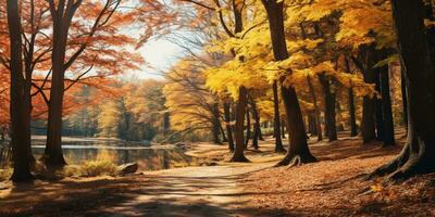 outono floresta cenário com estrada e caloroso luz solar brilho através galhos do árvores, colorida natureza, ai generativo foto