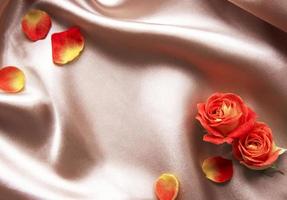 composição de flores. moldura feita de rosas vermelhas e folhas foto