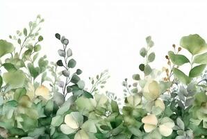 desatado aguarela floral fronteira com verde folhas em branco fundo. generativo ai foto