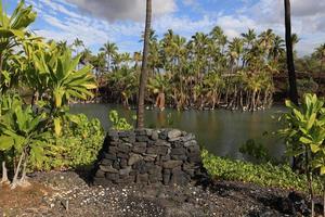 viveiro de peixes no parque histórico de Kalahuipuaa, na grande ilha do Havaí foto