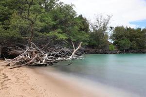 ilha do havaí, praia 67 troncos e mar foto