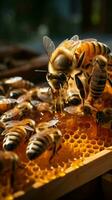 fechar-se apicultor com favo de mel quadro, abelhas construindo líquido ouro, uma simbiótico dança vertical Móvel papel de parede ai gerado foto