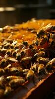 fechar-se apicultor com favo de mel quadro, abelhas construindo líquido ouro, uma simbiótico dança vertical Móvel papel de parede ai gerado foto