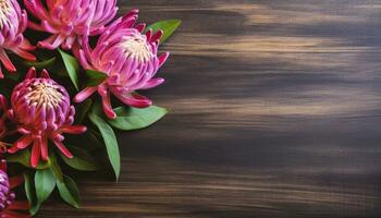 lindo protea flores em de madeira fundo. topo Visão com cópia de espaço. ai gerado. foto