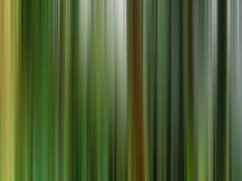 intencional Câmera movimento panorama com árvores foto