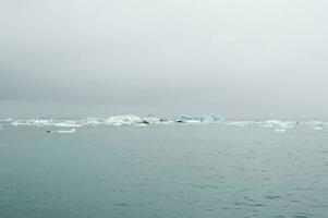 icebergs dentro jokulsarlon, uma glacial lago dentro Islândia foto