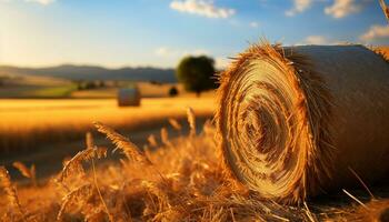 pôr do sol sobre uma rural fazenda, Prado dourado com colhido trigo gerado de ai foto