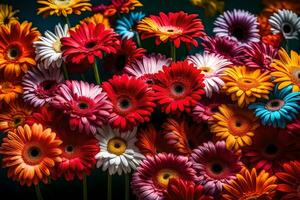 gerberas estão lindo flores este faço a excelente presente para mães em mãe dia. elas estão brilhante e colorida.. criativo recurso, ai gerado foto