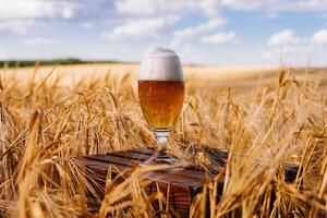 uma vidro do Cerveja dentro uma trigo campo foto