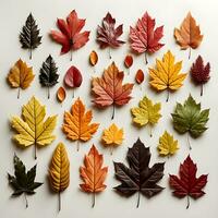 uma grupo do outono folhas arranjado em uma mesa. a folhas estão uma variedade do cores foto