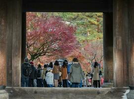 outono colorida bordo folhas às Nanzenji têmpora dentro Quioto, Japão foto