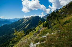 suíço Alpes panorama foto