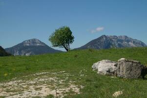 panorama do a francês Alpes foto