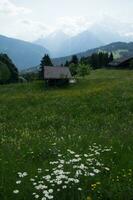 panorama do a francês Alpes foto