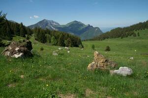 panorama do a francês Alpes foto