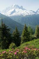 panorama do a francês Alpes foto