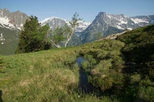 panorama do a francês Alpes foto