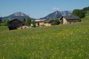 panorama do a francês Alpes foto