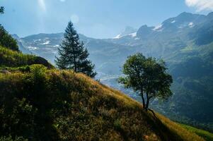 panorama do a Alpes dentro França dentro verão foto