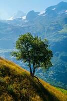 panorama do a Alpes dentro França dentro verão foto