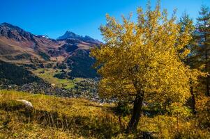 paysage des Alpes Suisse en Automne foto