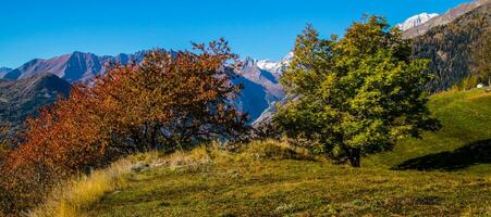 outono dentro a Alpes, Itália foto