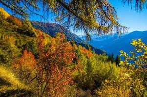 paysage des Alpes Suisse en Automne foto