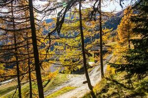 paysage des Alpes Suisse en Automne foto