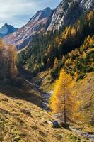 paysage des Alpes Suisse en Automne foto