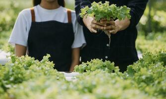 dentro a industrial estufa dois agrícola engenheiros teste plantas saúde e analisar dados com tábua computador. foto