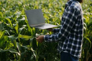 agricultor utilizar a testemunho dados rede dentro a Internet a partir de a Móvel para validar, teste, e selecionar a Novo colheita método. jovem agricultores e tabaco agricultura foto
