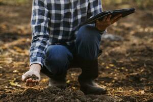 masculino mãos tocante solo em a campo. especialista mão do agricultor verificação solo saúde antes crescimento uma semente do vegetal ou plantar plantinha. o negócio ou ecologia conceito. foto