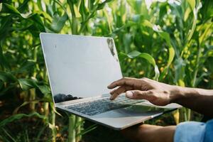 agricultor utilizar a testemunho dados rede dentro a Internet a partir de a Móvel para validar, teste, e selecionar a Novo colheita método. jovem agricultores e tabaco agricultura foto