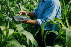 agricultor utilizar a testemunho dados rede dentro a Internet a partir de a Móvel para validar, teste, e selecionar a Novo colheita método. jovem agricultores e tabaco agricultura foto