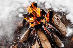 fogueira queima na neve na floresta. fogueira queimando foto