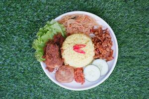 indonésio estilo amarelo arroz com picado frango dentro branco prato em verde Relva fundo foto