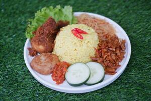 indonésio estilo amarelo arroz com picado frango dentro branco prato em verde Relva fundo foto