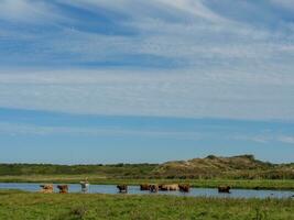 ilha langeoog na alemanha foto