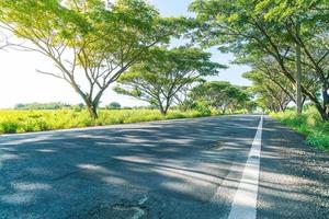 estrada de asfalto na floresta - aumente o estilo de processamento de cores com efeito de proteção solar foto