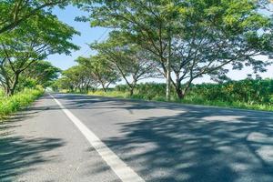 estrada de asfalto na floresta - aumente o estilo de processamento de cores com efeito de proteção solar foto