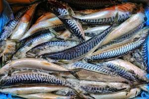 comida de peixe em uma barraca de peixaria foto