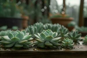 suculento plantas mesa. gerar ai foto