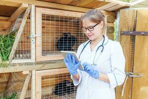 mulher veterinária com computador tablet verificando o estado de saúde animal no fundo do rancho do celeiro. médico veterinário check up coelho na fazenda eco natural. cuidados com animais e conceito de pecuária ecológica. foto