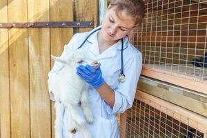 jovem veterinária com estetoscópio segurando e examinando cabrito no fundo do rancho. cabrito jovem nas mãos do veterinário para check-up na fazenda ecológica natural. pecuária moderna, agricultura ecológica. foto