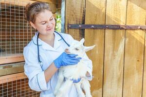 jovem veterinária com estetoscópio segurando e examinando cabrito no fundo do rancho. cabrito jovem nas mãos do veterinário para check-up na fazenda ecológica natural. pecuária moderna, agricultura ecológica. foto