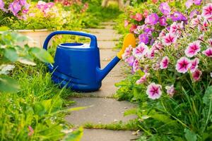 Fazenda trabalhador jardinagem ferramentas. azul plástico rega pode para irrigação plantas colocada dentro jardim com flores em canteiro de flores e vaso de flores em ensolarado verão dia. jardinagem passatempo agricultura conceito. foto