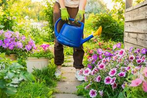 jardinagem agricultura conceito. jardineiro mãos segurando rega pode rega irrigando plantar. irreconhecível mulher jardinagem dentro jardim. casa crescido orgânico Comida. local jardim produzir limpar \ limpo legumes. foto