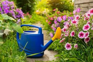 Fazenda trabalhador jardinagem ferramentas. azul plástico rega pode para irrigação plantas colocada dentro jardim com flores em canteiro de flores e vaso de flores em ensolarado verão dia. jardinagem passatempo agricultura conceito. foto